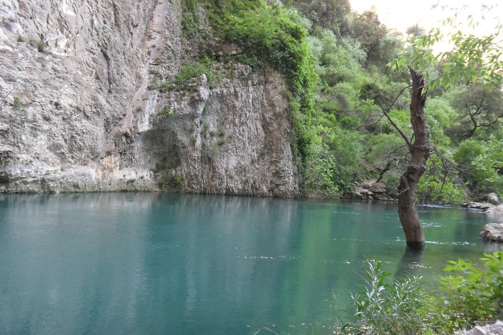 Bastide De La Lézardière Fontaine-de-Vaucluse Esterno foto